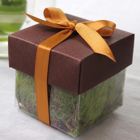 Brown Lid / Antique Gold Top Single Bow