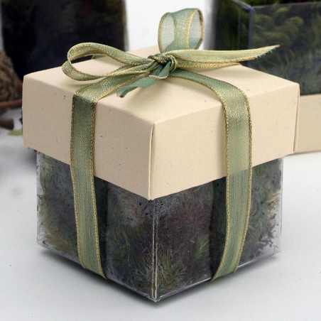 Natural Lid / Natural Green Top Double Bow