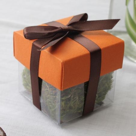 Papaya Puree Dark Lid / Brown Top Double Bow