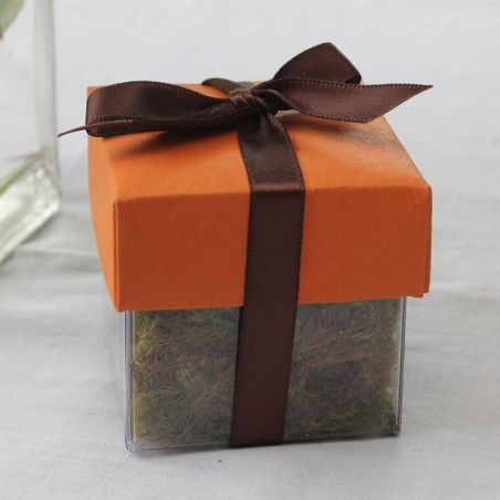 Papaya Puree Dark Lid / Brown Top Single Bow