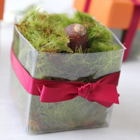 Single Front Burgundy Bow - No Lid