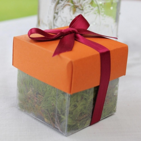 Papaya Puree Dark Lid / Burgundy Top Single Bow