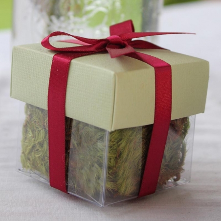 Pear Green Lid / Burgundy Top Double Bow