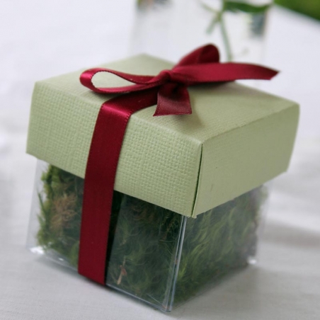 Pear Green Lid / Burgundy Top Single Bow