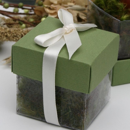 Pear Green Lid / Ivory Top Single Bow