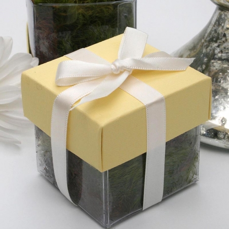 Pollen Yellow Lid / Ivory Top Double Bow