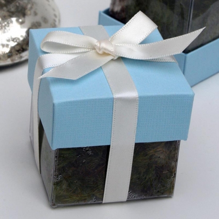 Seawater Blue Lid / Ivory Top Double Bow