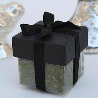 Beetle Black / Black