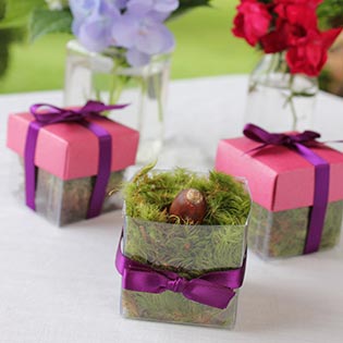 Bling Diva Pink / Violet