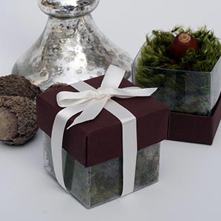 Mud Pie Brown / Ivory