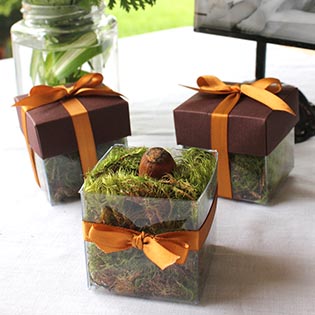 Mud Pie Brown / Antique Gold