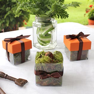 Papaya Puree Dark / Brown