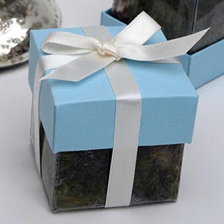 Seawater Blue / Ivory