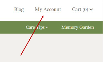 Arrow pointing at My Account link in Navigation
