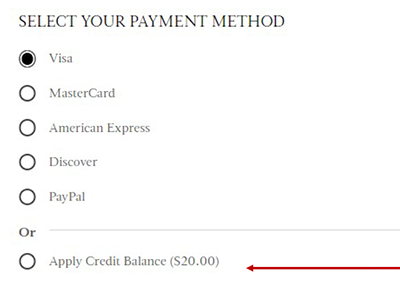 Apply Credit Balance as payment option