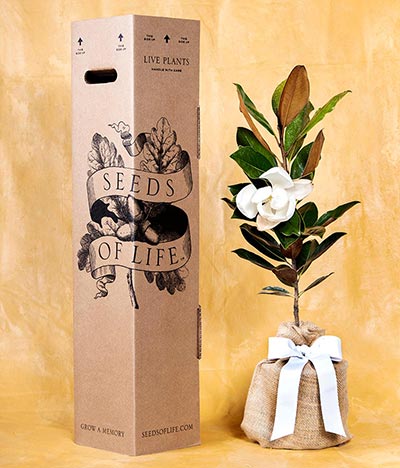 Seeds of Life Packaging