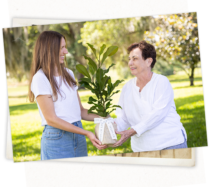 Holding Magnolia Tree