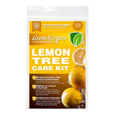 Lemon Tree Care Kit