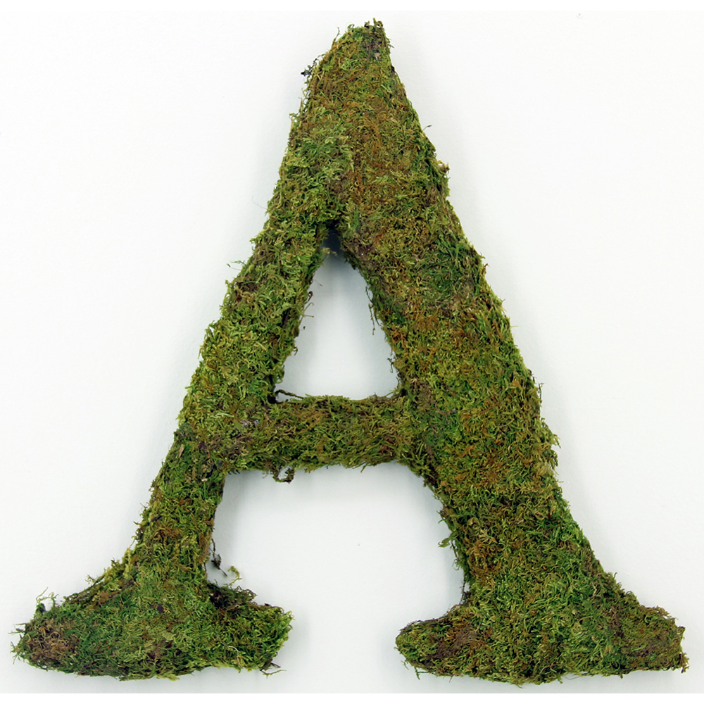 Moss Covered Letters Seeds Of Life