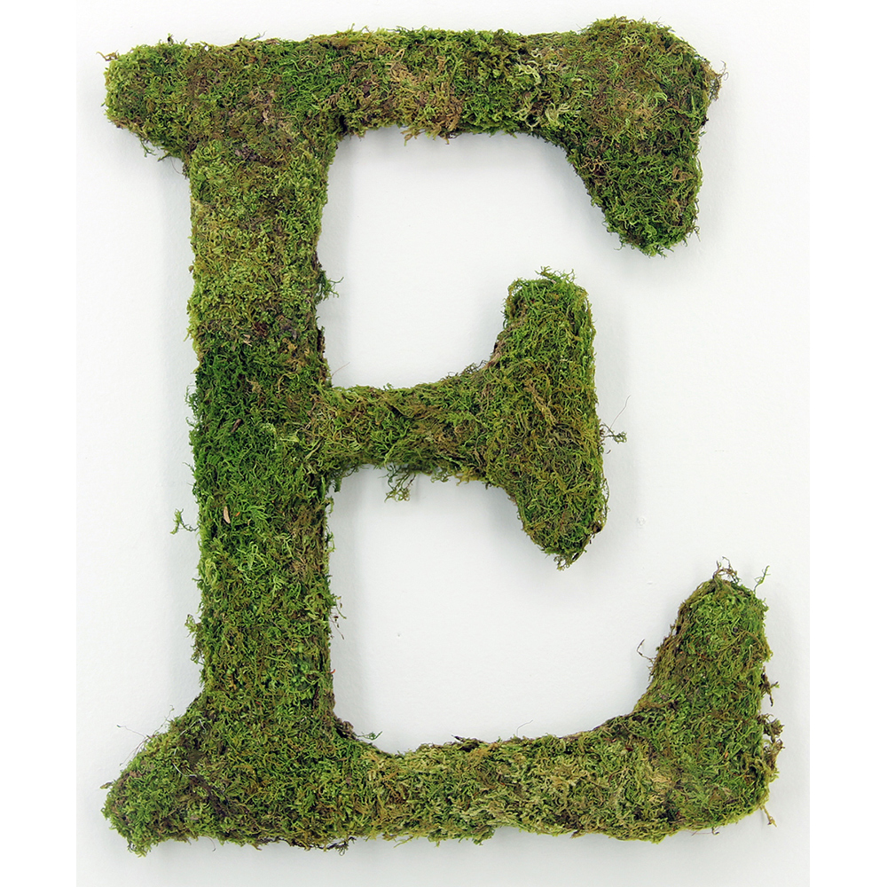 Moss Covered Letters Seeds Of Life