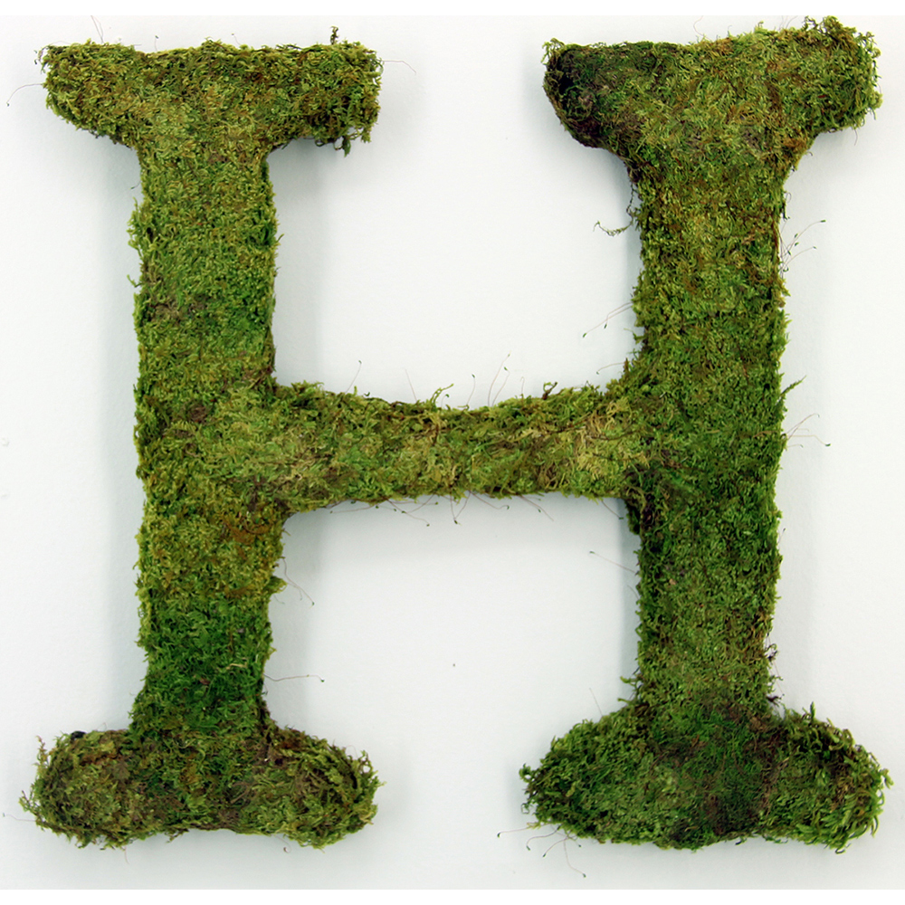 Moss Covered Letters Seeds Of Life