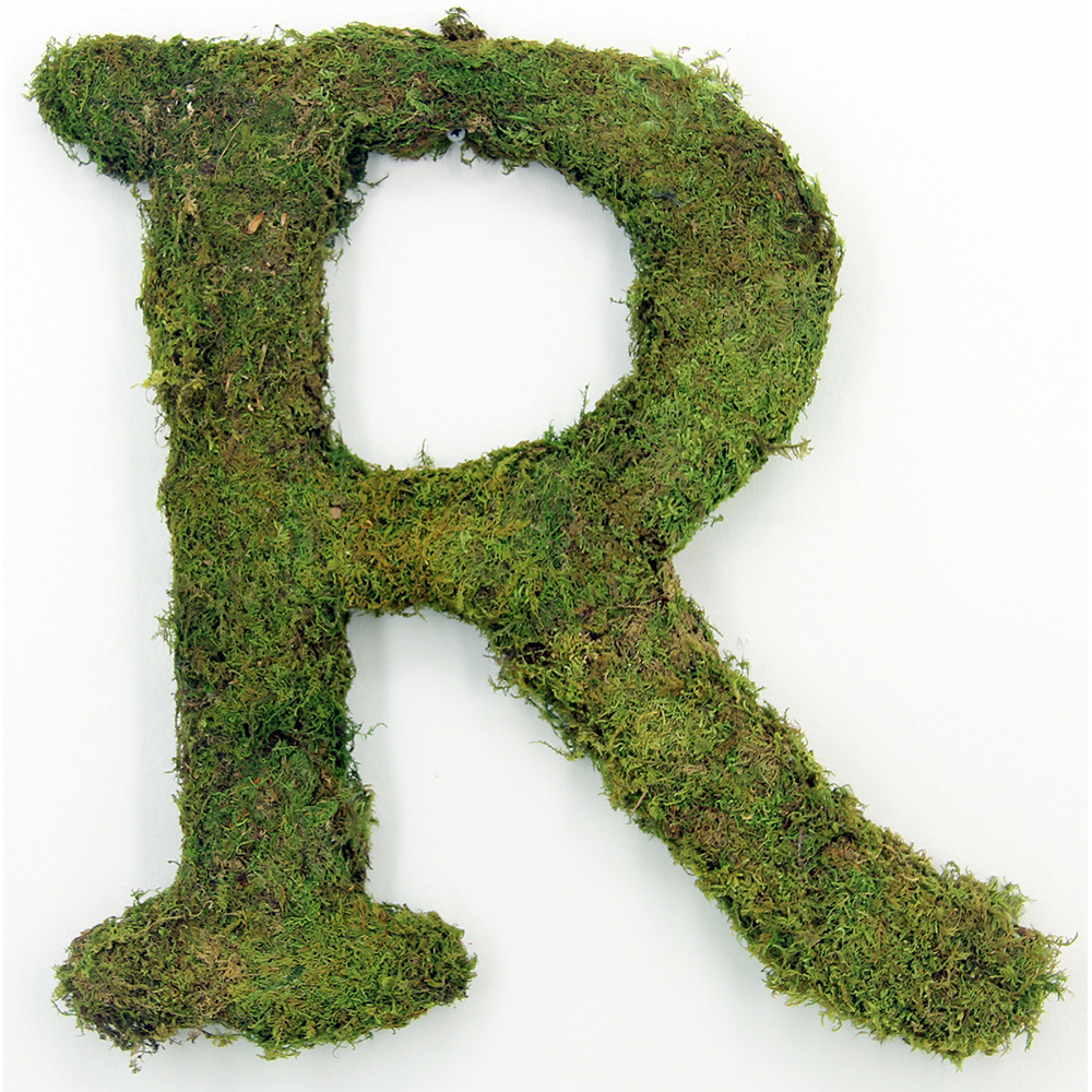 Moss Covered Letters: Seeds Of Life