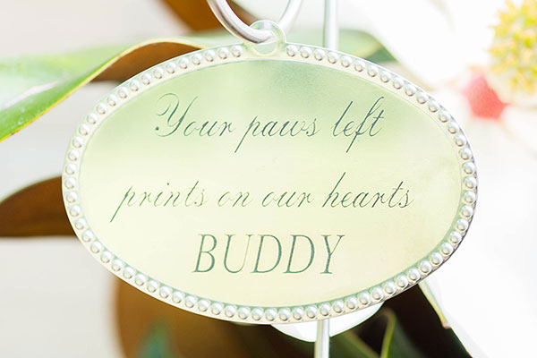 Pet Sympathy Engraved Tree Tag