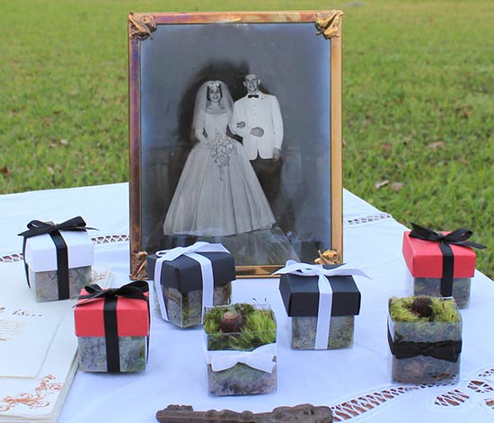 Wedding Seed Favors