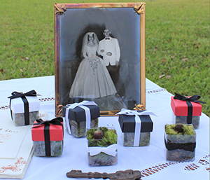 Wedding Seed Favors